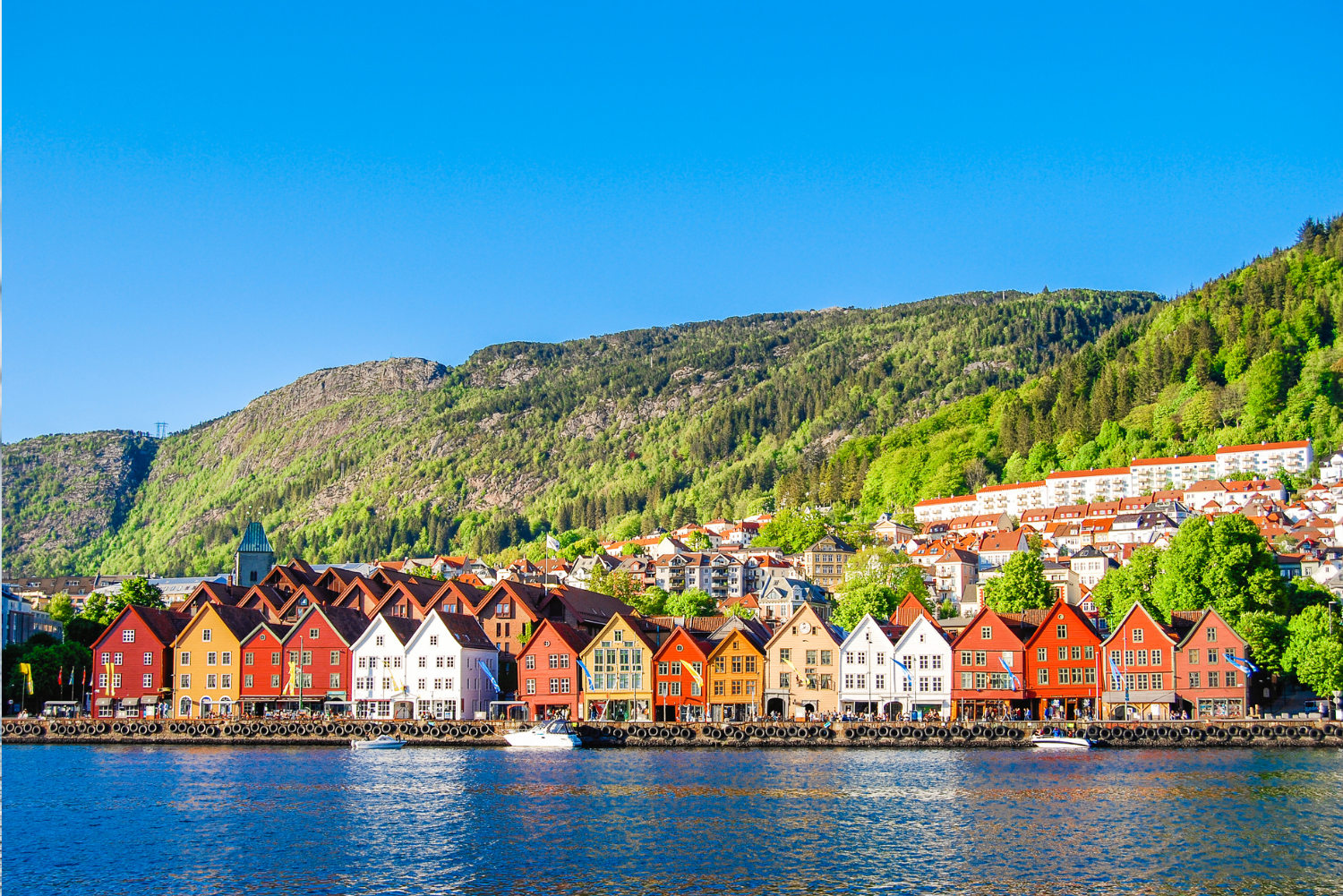 Wat zijn fjorden