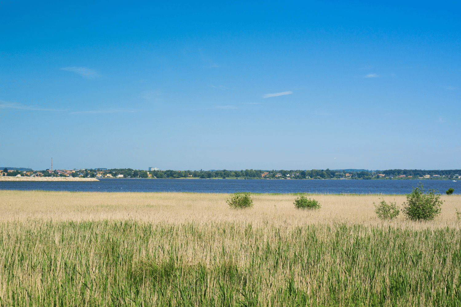 Horsens Fjord