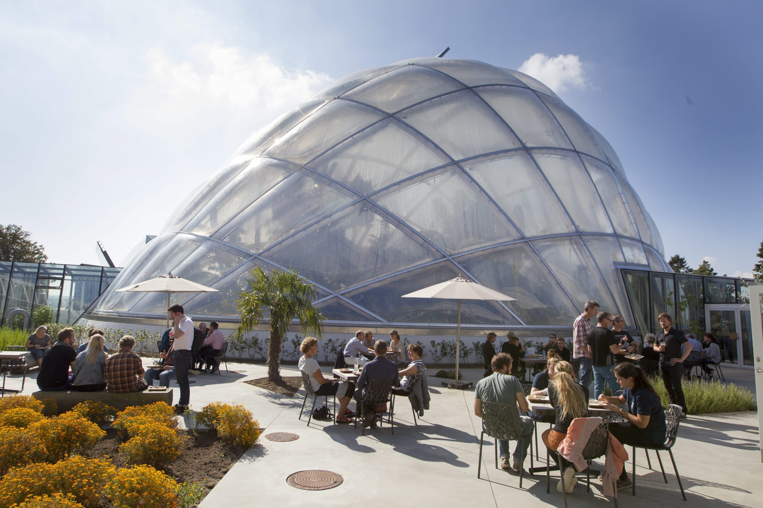Ontdek de Botanische Tuin in volle bloei Ontdek de Botanische Tuin in volle bloei